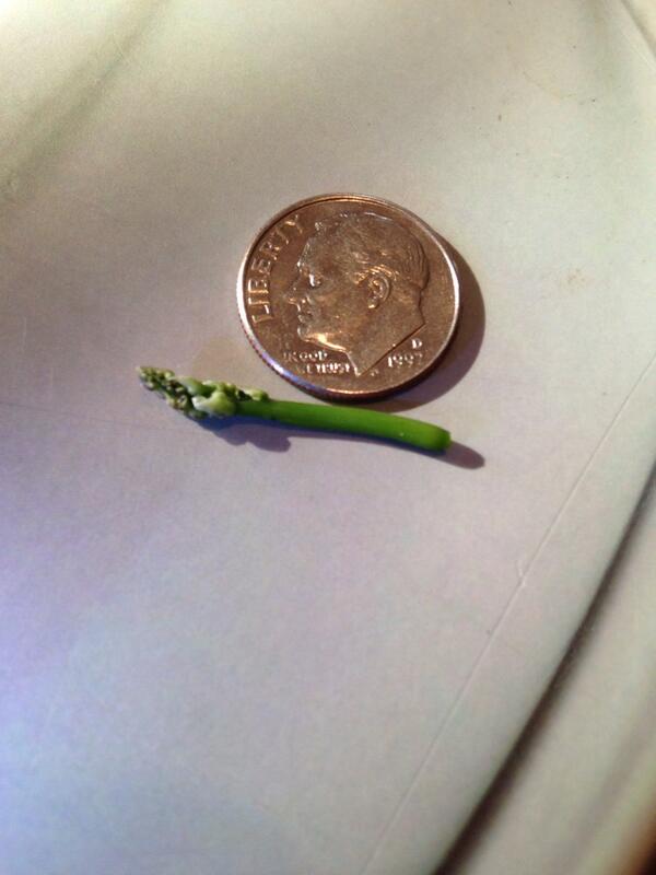 temmel's tweet image. I only eat organic nano asparagus #foodie_hipster