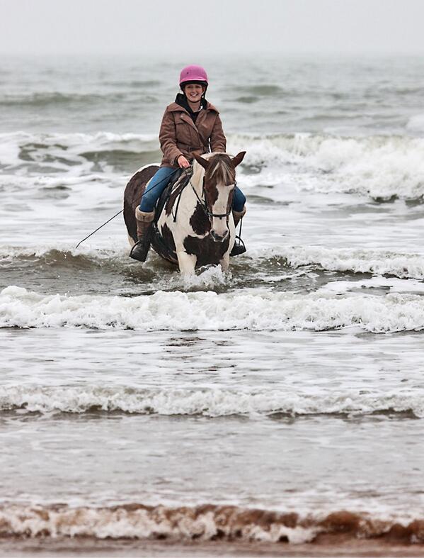 equi_move's tweet photo. Brill day at Filey beach on Saturday #horsetransport http://t.co/L22qmYR0mg