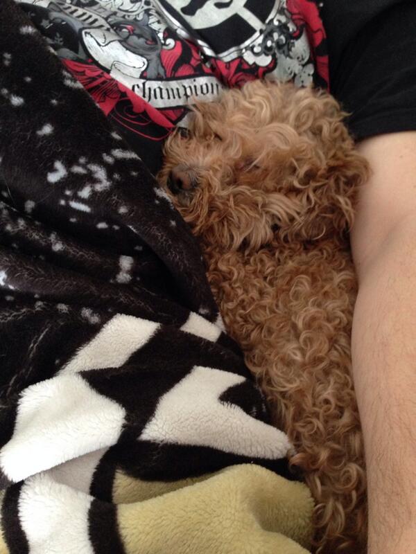 piinksparkles's tweet photo. Aw coop asleep in #TeamDcap 's arms http://t.co/dQ9QOAUBEj