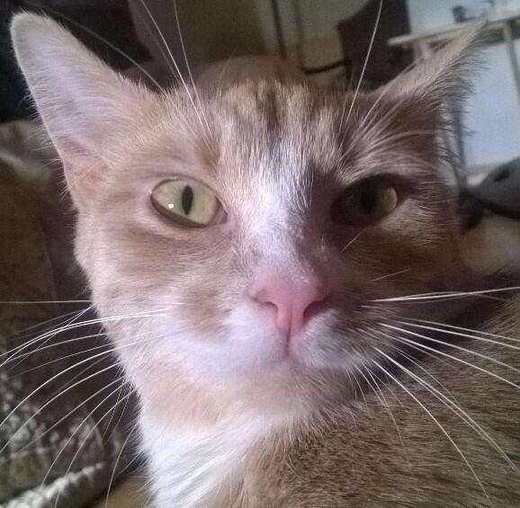 tharker06's tweet photo. Hello World!!! http://t.co/SjK7wcBCrC