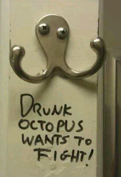 Davin O&#39;Dwyer on Twitter: &quot;@GlennF Pugilist extraordinaire…“@KidCalavera:  Drunk Octopus wants to fight! http://t.co/Daa7dMxFnO”&quot;