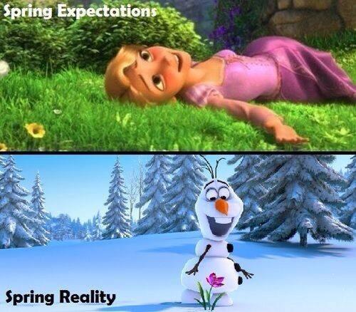 PAgirl_'s tweet image. #PAproblems @PennsylvaniaPro