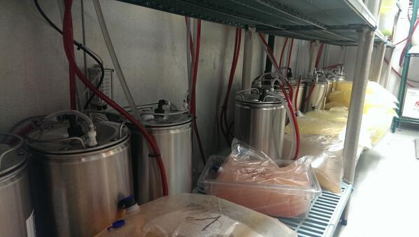 Not just for wine! Mexican Sugar in Dallas, TX using TORR kegs for 12 taps with mixed cocktails.