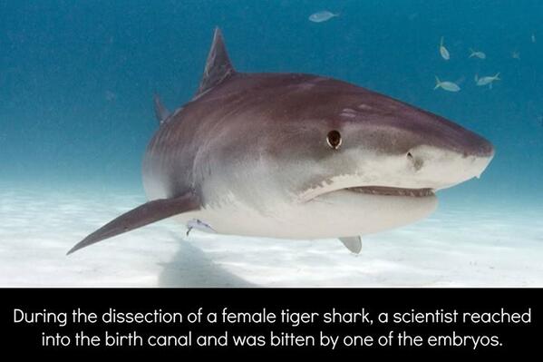 ScienceWTF's tweet image. Do you know?