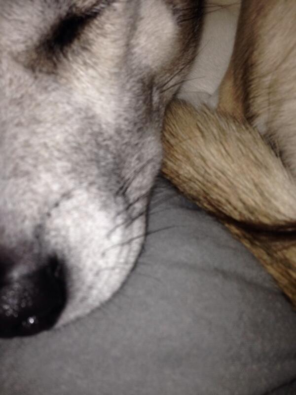 Maybeattached's tweet photo. #SelfieSunday http://t.co/lnYT0wURHi