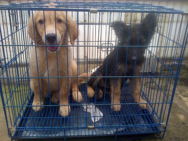 Media Tweets By Vena Gabriel Advn Twitter