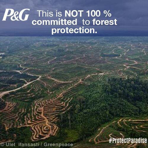 .<a href="/ProcterGamble/">Procter & Gamble</a>, this is not sustainable! Say NO to deforestation: greenpeace.org/dirtysecret #ProtectParadise