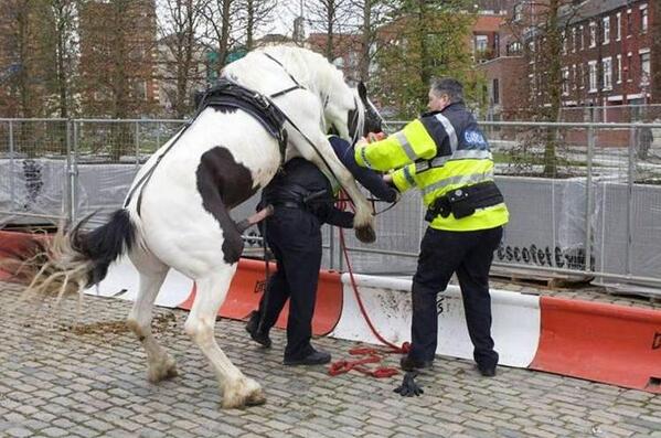 DJFreshSA's tweet image. hehe!! RT @Pasco_e: F@ck the police.