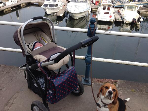 Me and my little brother went for a super long walk this morning.