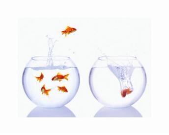 Projectsonly's tweet image. De flexibele arbeidsmarkt vereenvoudigd weergegeven