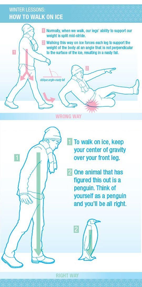 GuideToPrepping tweet picture