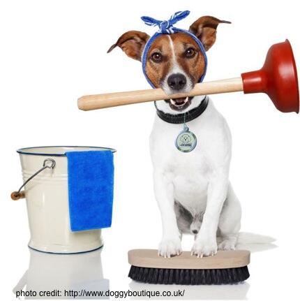 Time for #SpringCleaning!  This week we'll post some helpful ideas and check-lists for these yearly tasks. #CleanPets