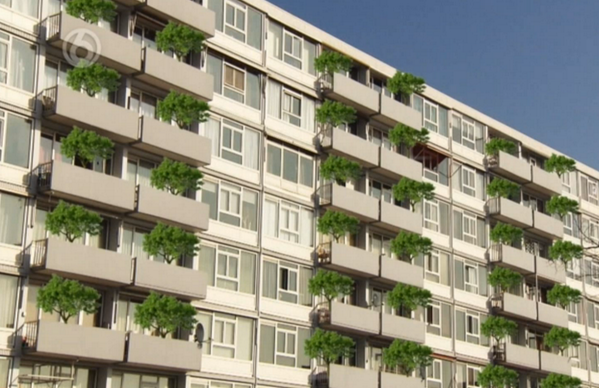 12 Maart, Boomfeestdag, hebben we ons eerste bos geplant in Slotervaart, Amsterdam!