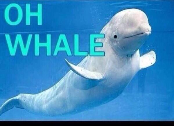 "<a href="/TedOfficialPage/">can you not</a>: Me after every exam I fail " @imkemichau <a href="/marlizevonabo/">Mar-lize von Abo</a> dis ons daai! Haha xxx