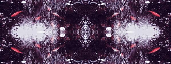 TwentyTwoPoint's tweet image. P O N D  A R T W O R K 
twentytwopoint.com