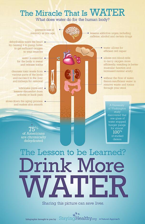 ItsYourDesign's tweet image. What does water do for the human body? #infographic by @SodaStream_ca. And find many more at itsyourdesign.weebly.com