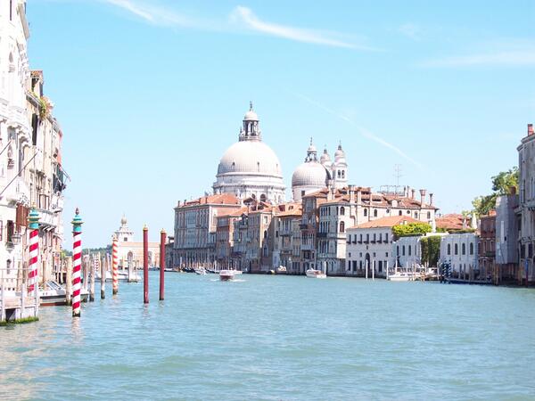 ElisaNicoli's tweet image. Ho passato una domenica bellissima cercando il #ruy a #Venezia grazie #whaiwhai @tbarazza