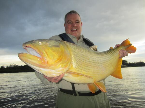 DM_Tecomate's tweet photo. 37 Lb Dorado on Uruguay River! Incredible game fish. Hits like a freight train, runs, jumps, fights.. Never quits! http://t.co/jl7kca6DxD