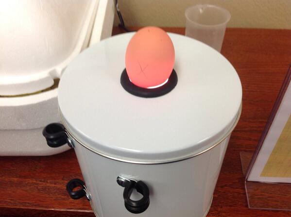 On day 5 we went to see your eggs. We put it on a candler and we saw         A big black spot on the top of it
