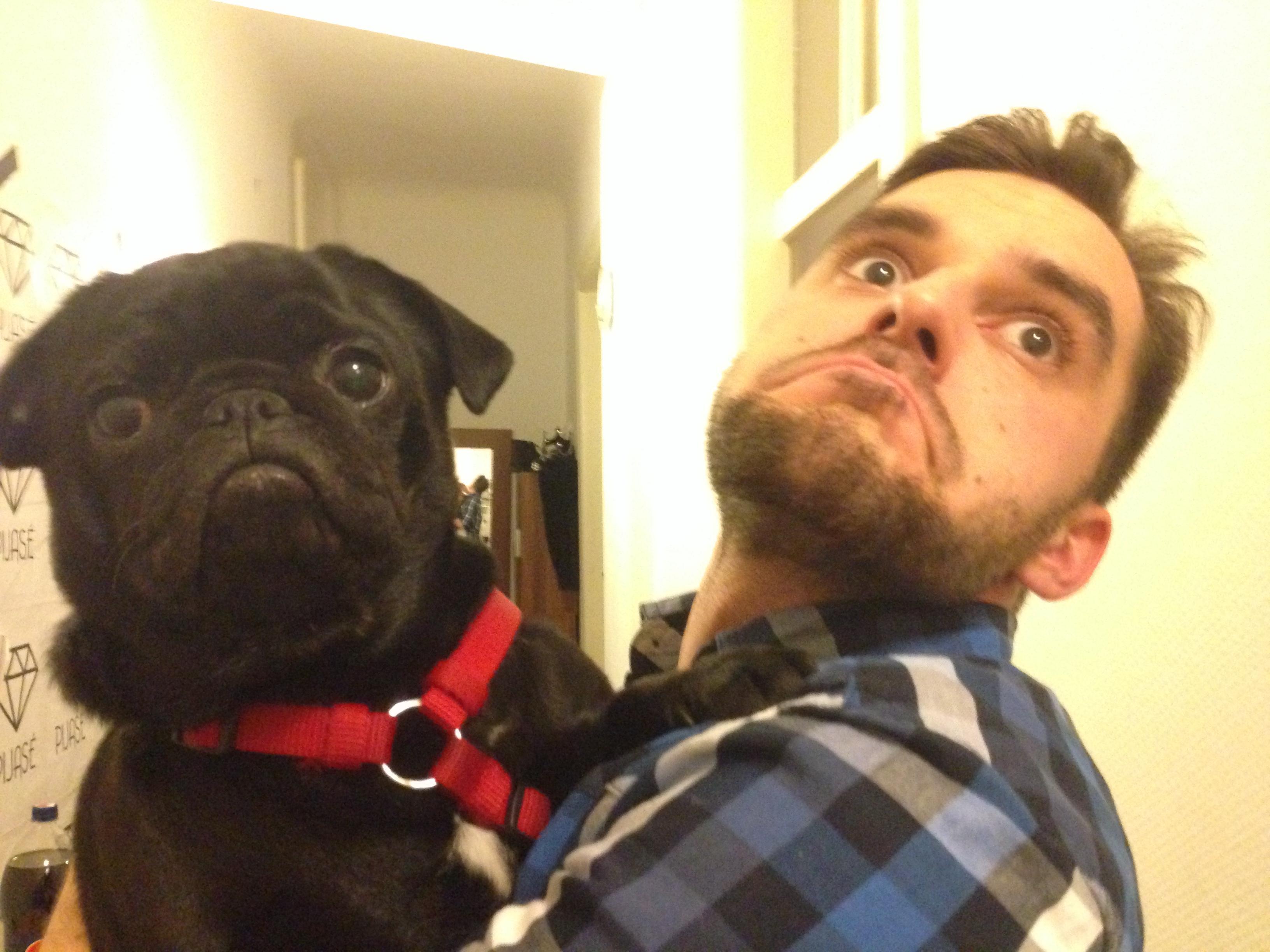 Pics of Pugs on X