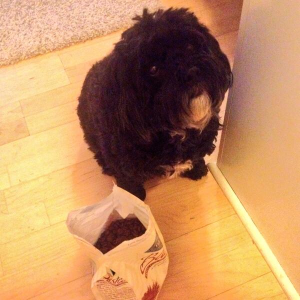 _FatLou's tweet photo. My daddies threw down an opened bag and said dinner's ready! #lazy #monday http://t.co/AhkFrRBYbH