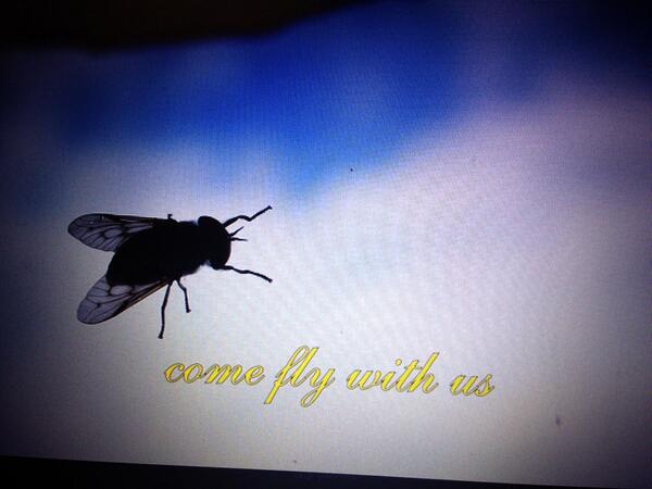 ScenicHeliRides's tweet photo. #flyscenic http://t.co/3sv4t4Uzv1