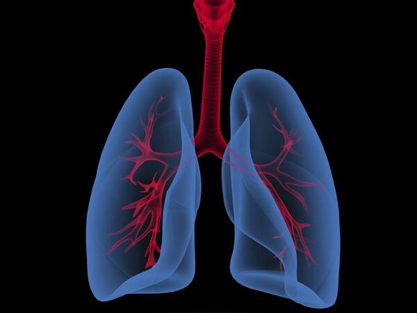 Medscape's tweet photo. An FDA panel will tomorrow probe the lung effects of inhaled insulin product Afrezza  http://t.co/GbxGSZ4M19 http://t.co/A6sPVcOl5A