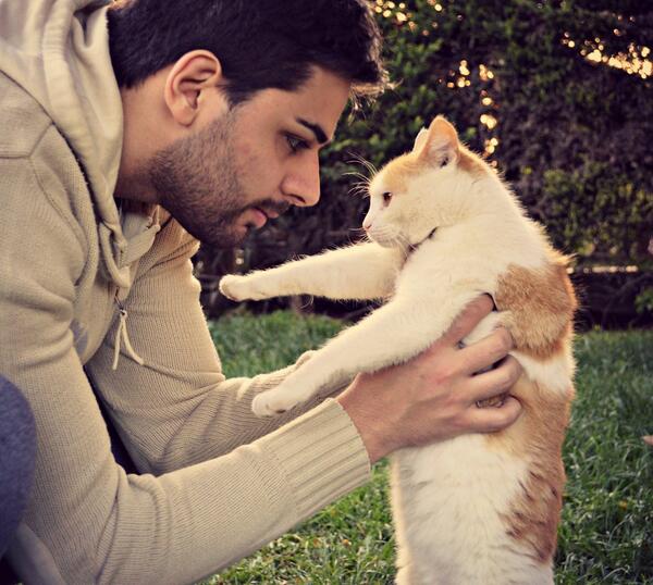 MassManci's tweet photo. #cat #animals #niceday troppo bella la mia gattona! http://t.co/hO6bpZ1J0r