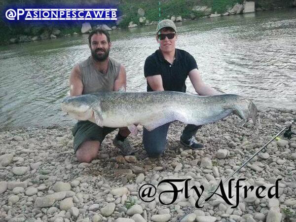 Pasionpescaweb's tweet photo. @FlyAlfred Gracias por la foto!! Ya en el blog http://t.co/3KMgDtyvsw http://t.co/yMVhniJLXf