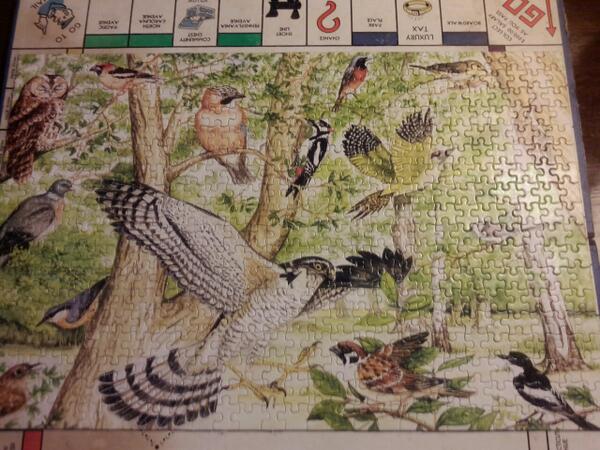NewBornSounds's tweet photo. Anyone seen a puzzle piece? It has feathers on http://t.co/H3Qzf7QyT9