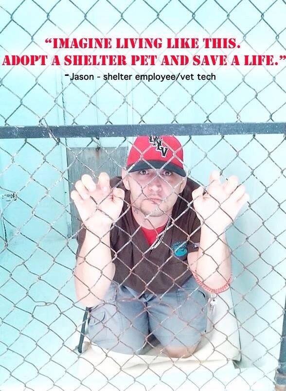 AVoice4Animals2's tweet image. “@DogRescueTweets: #animalcruelty #animalabusers #dogfighters belong in cages http://t.co/gRyDIq3CmD”