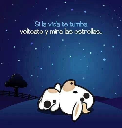 accionp0eticaes's tweet photo. Si la vida te tumba... http://t.co/S0NbJ7cFaK