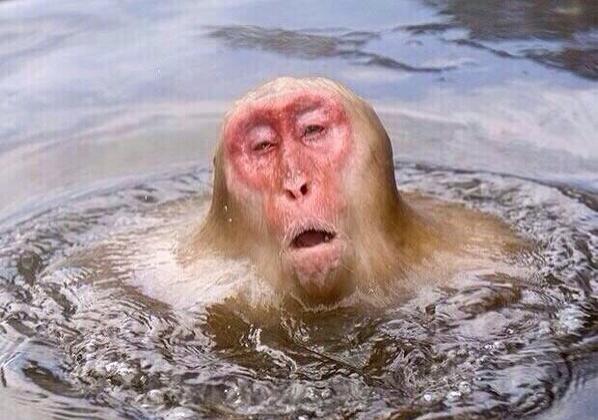 BrockObama2016's tweet photo. when the pussy wet as fuck http://t.co/ak5zH8dCYj