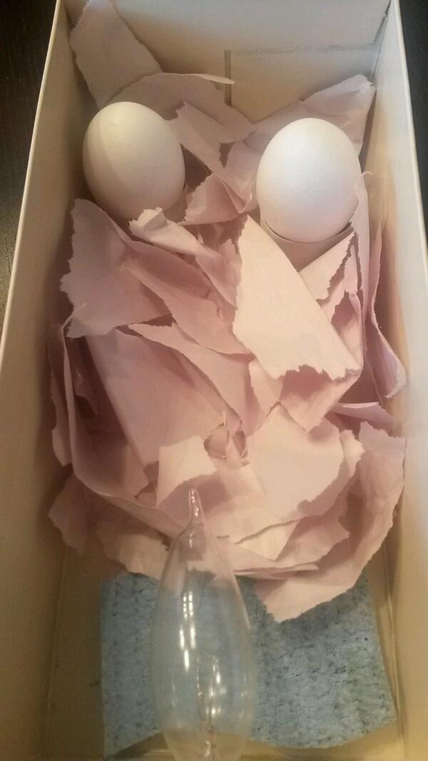 <a href="/Roanoke1stGrade/">Roanoke 1stGrade</a> egg turners, bedding, bulb for warmth, sponge for humidity. Krossley #chickpbl #cracrakrossley