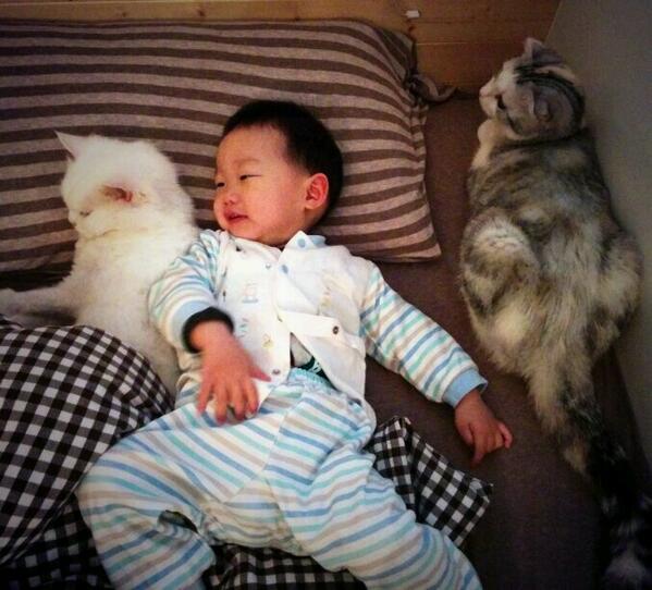 benjamin ho tweet media