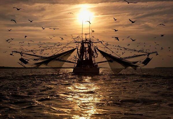 Gabriele_Corno's tweet image. Journey by Carmody Baker