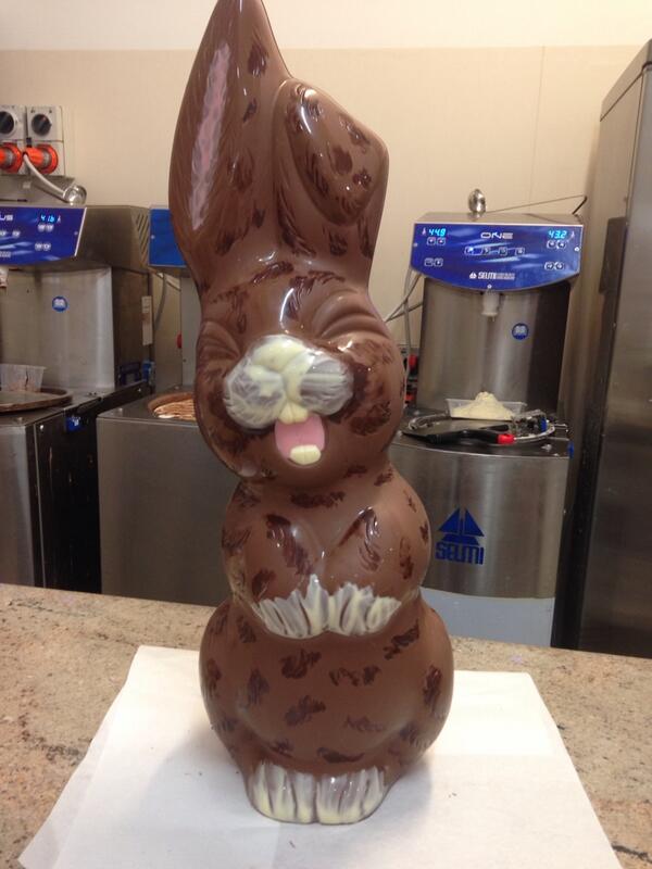 Hayley Tibbett tweet media