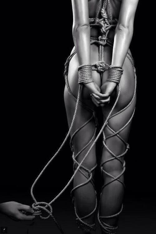 SatineXXX's tweet photo. http://t.co/qQFrN8TlKC