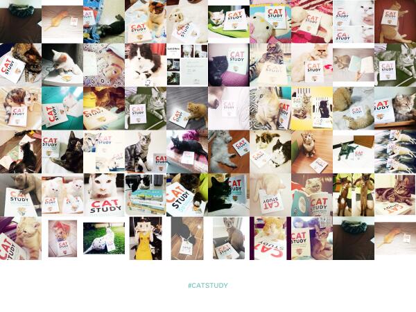 tpagon's tweet image. รวมแมว #catstudy จนถึงวันนี้น้า (ยังส่งเข้ามาได้อยู่นะคับ เรื่อยๆ) :)