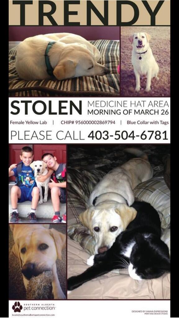 Tanya_D_Ellis's tweet image. We are desperate to find our missing family member, please can you help us?