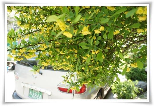 진짜바로알자 신천지 
신천지 이만희 총회장님의 글 (믿음과 핍박과 시험)
blog.daum.net/parkinwha/1554…