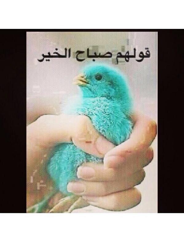 dameer33333's tweet photo. http://t.co/G0KtK5LM9w