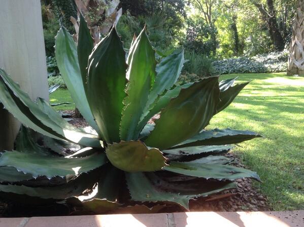 Be bold today. Make a statement.