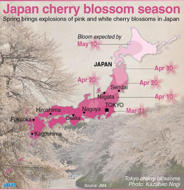 Google Public Alerts In Japan Now Warn Of Severe Weather