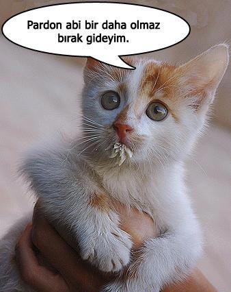 BkHxlbICAAActRz.jpg:large