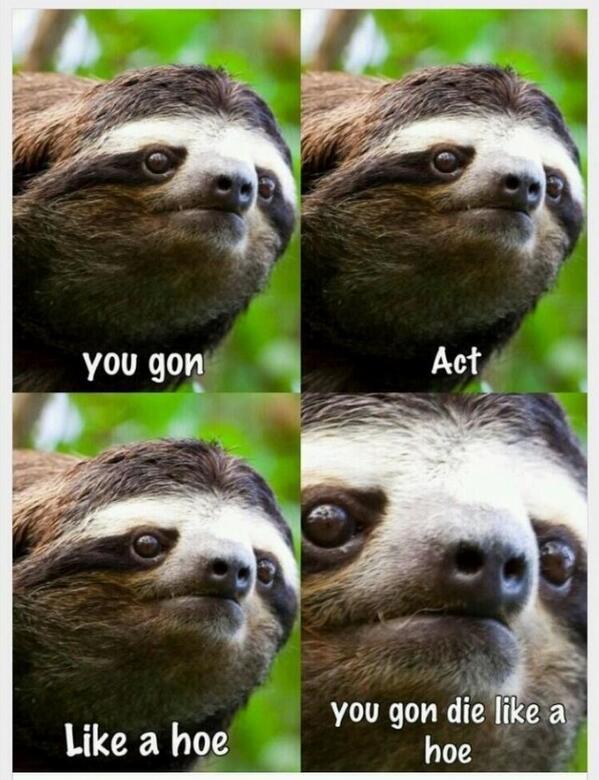 DiaryOfACrewKid's tweet image. When the pair sitting out isn't setting up the boat.