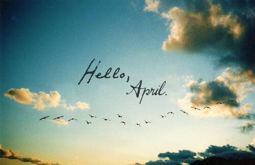 iLeathergraph's tweet photo. Welcome April! A mesmerizing flight of freedom always a sign of life! #HelloApril http://t.co/GPiSgozV3W