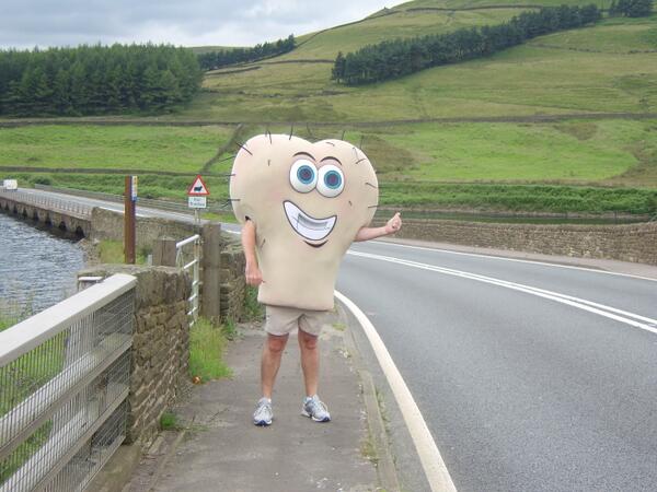 embarrassed45's tweet photo. The best hitch hiker! Small cars are a bit of a worry and a squash   #GiantTesticles http://t.co/3jaFlWNSZY http://t.co/C1rInihmBO