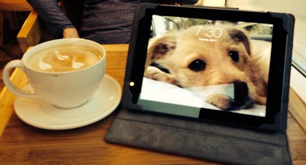 Good morning from Pawstin.  <a href="/thecoffeecup/">thecoffeecup</a>