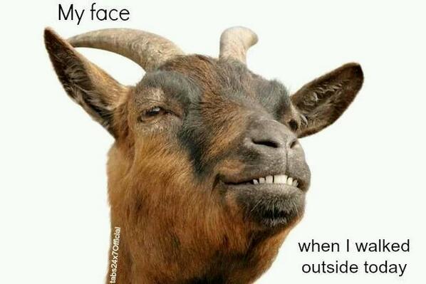 RunningDaily's tweet image. Spring weather is at last here! Happy running!